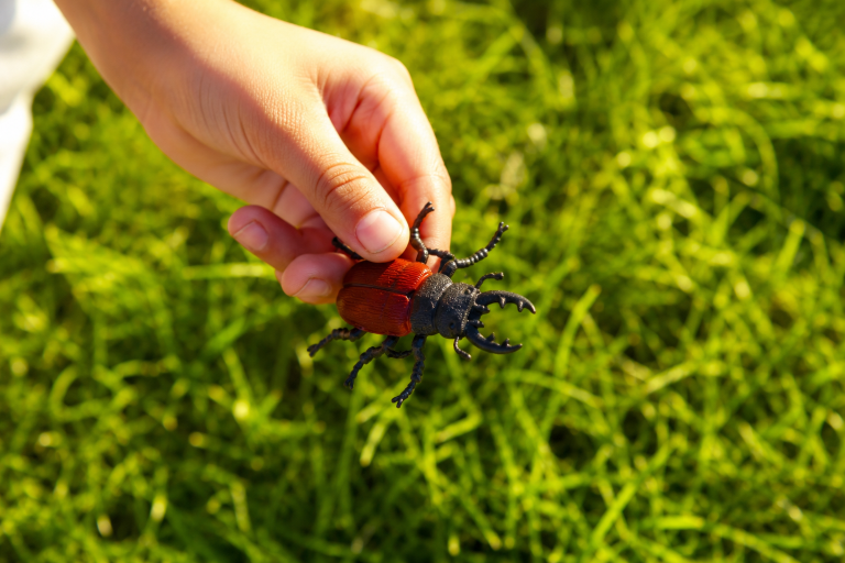Backyard Bug Scavenger Hunt for Kids (1 Minute Setup, 45 Minutes of Joy)