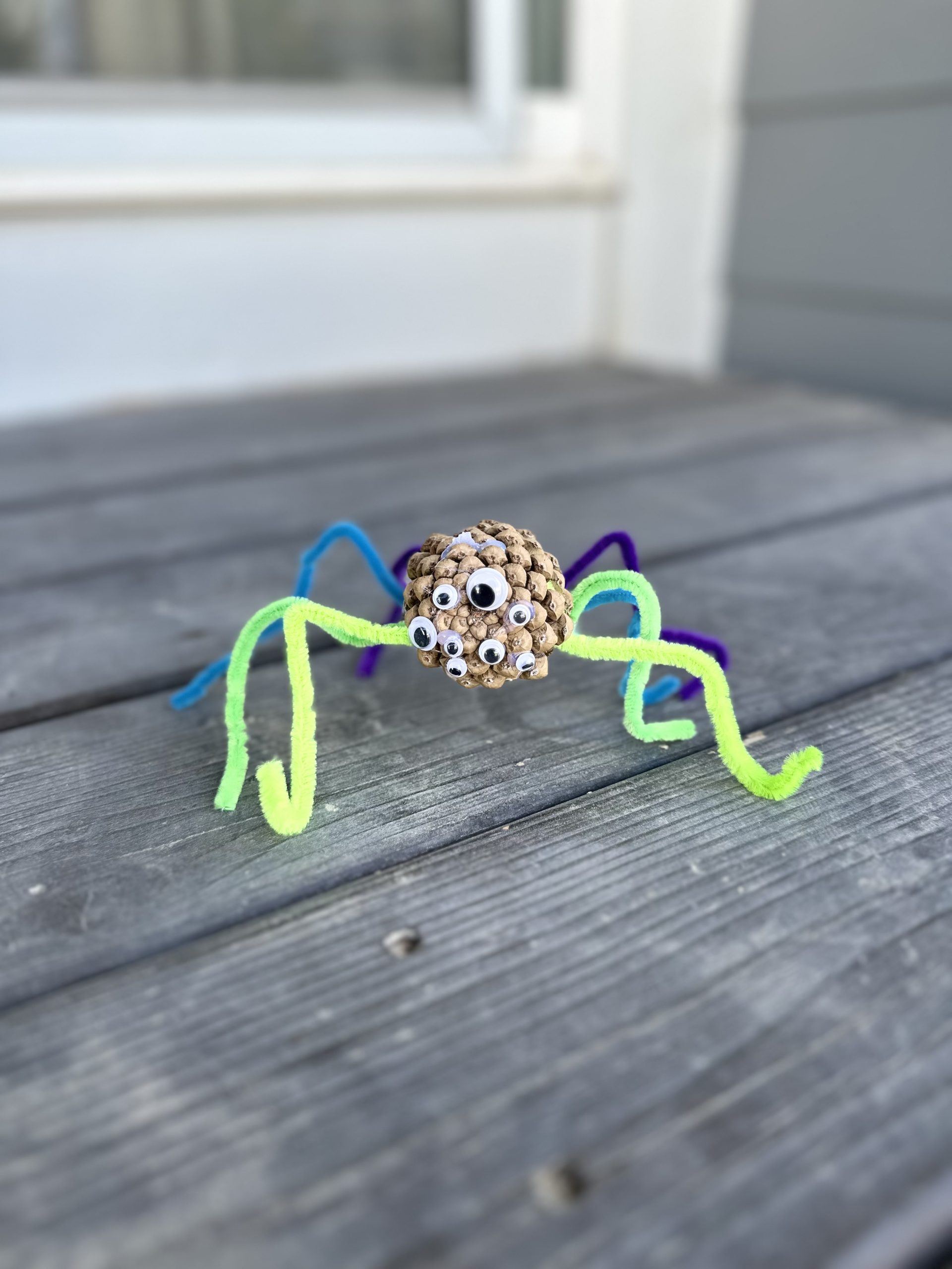 pinecone spiders for kids